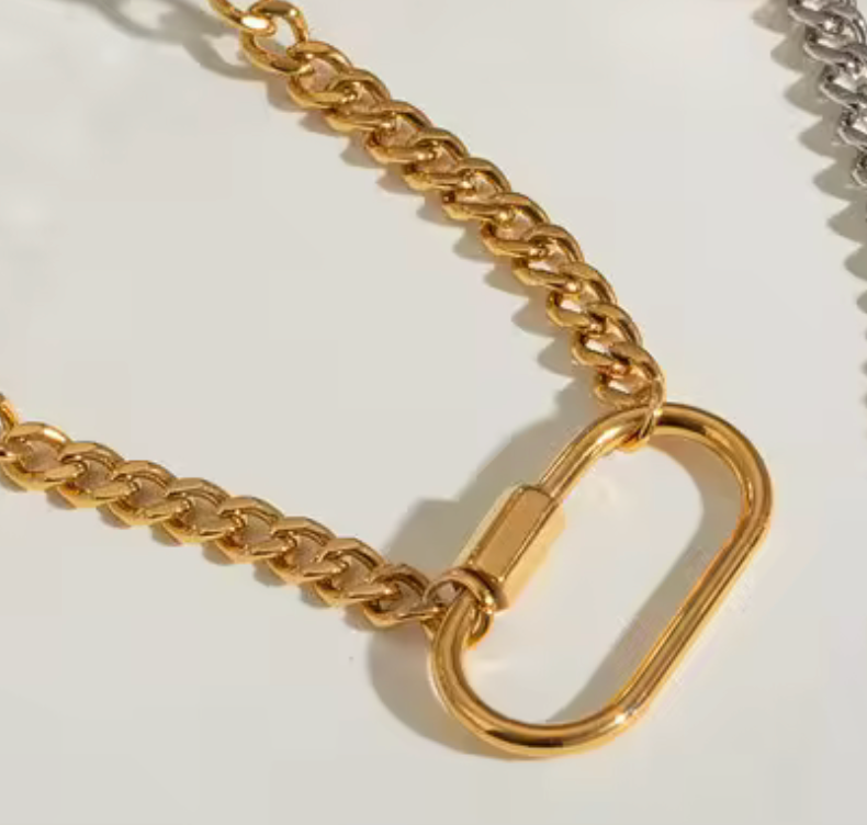 Carabiner Stainless Steel Necklace