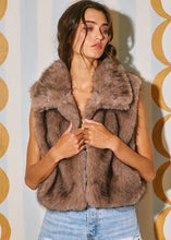 Load image into Gallery viewer, ✨Pre-Sale✨The Aspen Faux Fur Vest
