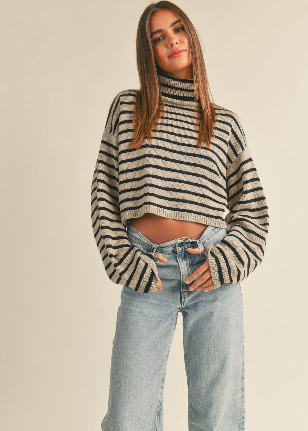 Earn Your Stripes Turtle Neck Crop Sweater