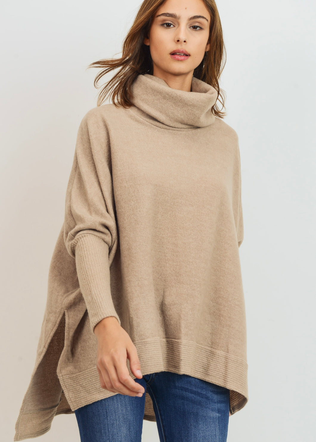 Montana Brushed Knit Turtle Neck (2 Colors)