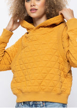 Load image into Gallery viewer, Taylor Quilted Hoodie

